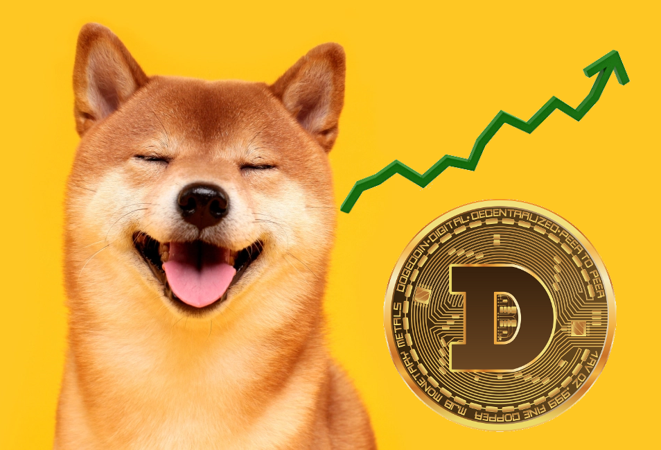 dogecoin yorum